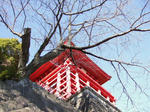 2009_01110024.JPG