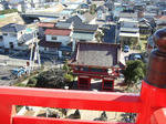 2009_01110019.JPG