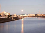 2009_01110008.JPG