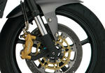 StreetTripleR_2009_rhs_brakes_534x375.jpg
