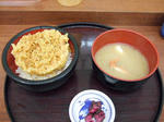 2009_02150011.JPG