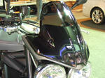2009_02190035.JPG