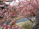 2009_02220006.JPG