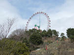 2009_03070012.JPG