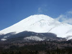 2009_03150003.JPG