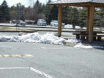 2009_03150004.JPG