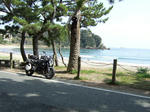 2009_03210010.JPG