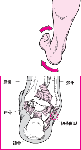 fg072_2.gif