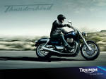 thunderbird_v2_1024x728.jpg