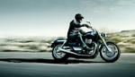 thunderbird_gallery_5_large.jpg