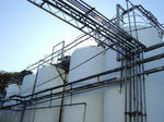 2009_11030010.JPG