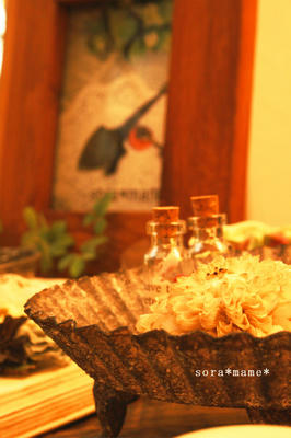 _MG_8382.jpg