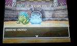 dq5error.jpg