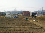 IMGP3114.jpg