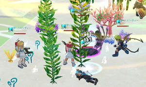 ss20090113_232837.jpg