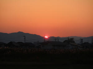 PB230761-s.jpg