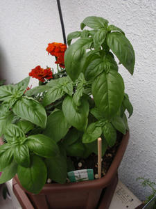 P5271013-s.jpg