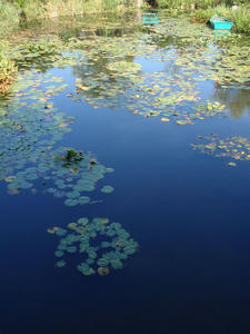 PA070199-s.jpg