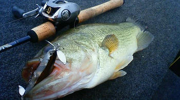 200906200606000.jpg
