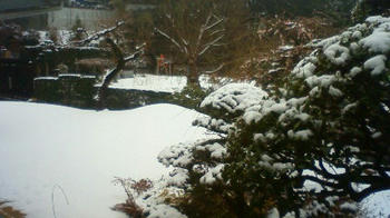 201102121030000.jpg