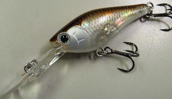 201101261658374c4.jpg