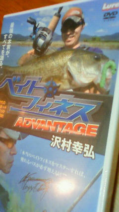 201103020039000.jpg