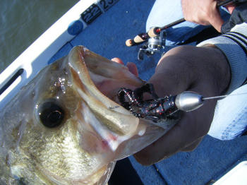 DSCF2150.jpg