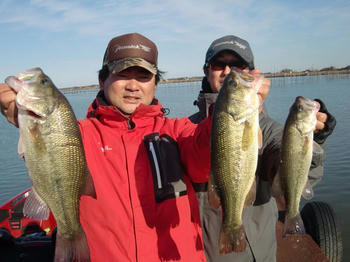 2011_1210_134219-CIMG1056.jpg