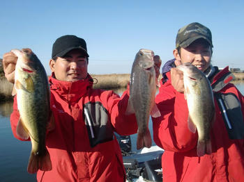 2012_1216_135528-CIMG1666.jpg