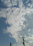 p0203.jpg