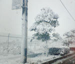 p0301.jpg