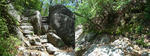 p0342.jpg
