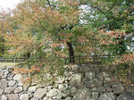 p0421.jpg