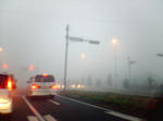 p0431.jpg