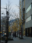 p0433.jpg