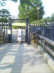 07080701.jpg