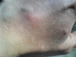 07080709.jpg