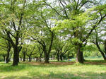 0505051343.jpg