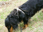0505051345.jpg