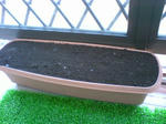 050507_1653.jpg