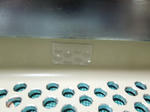 DSCN0493.JPG