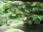 偕楽園