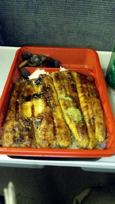 unagi.jpg