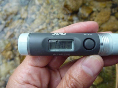 temp.jpg
