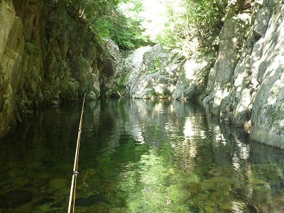 P1020892.jpg