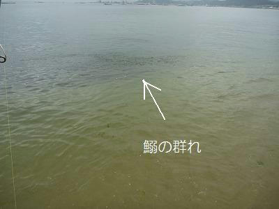 P1020984.jpg