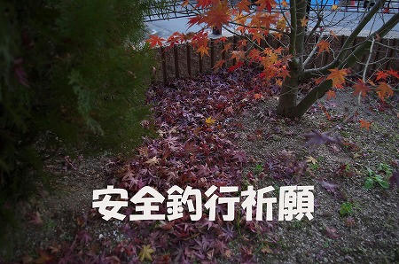 a0319f0f.jpeg