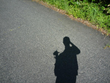 P1030317.jpg