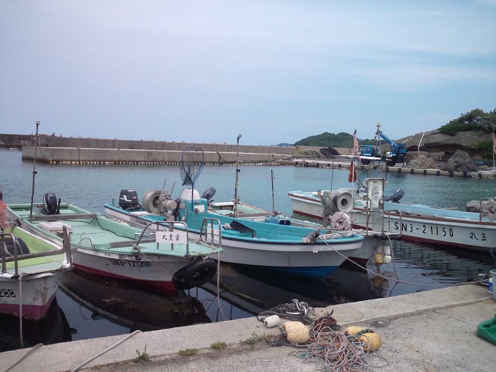 DSC_0082.jpg