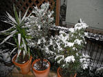 DSCF0192.jpg